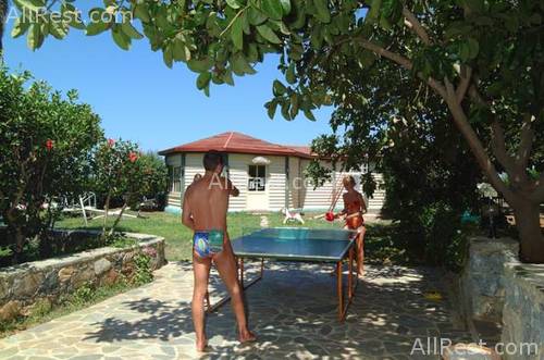 King Minos Palace Hotel 18
